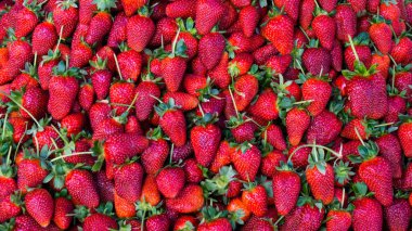 Kırmızı çilek. arka plan gıda