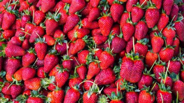 Kırmızı çilek. arka plan gıda