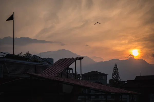 The sun sets on a cityscape as a dove flies overhead