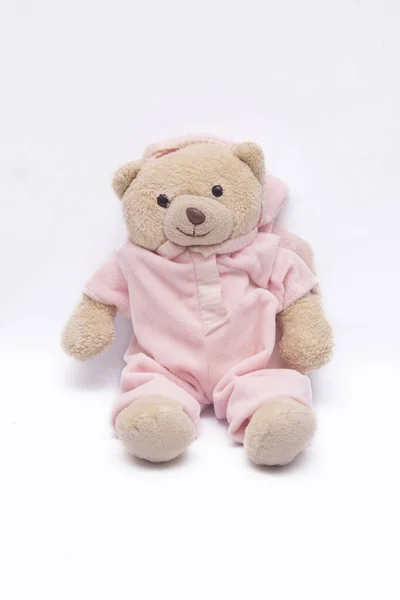 Porträt Von Teddybär Isoliert — Stockfoto