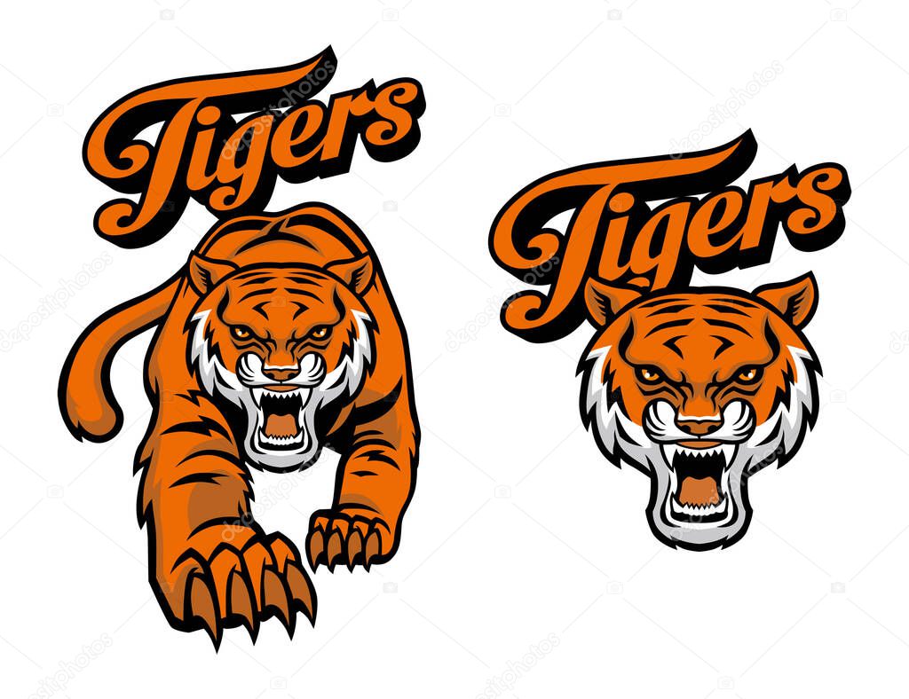 set bundle of tiger mascot