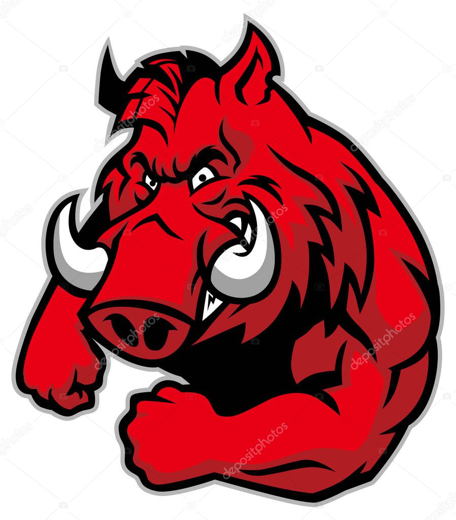 vector cartoon character of wild boar mascot