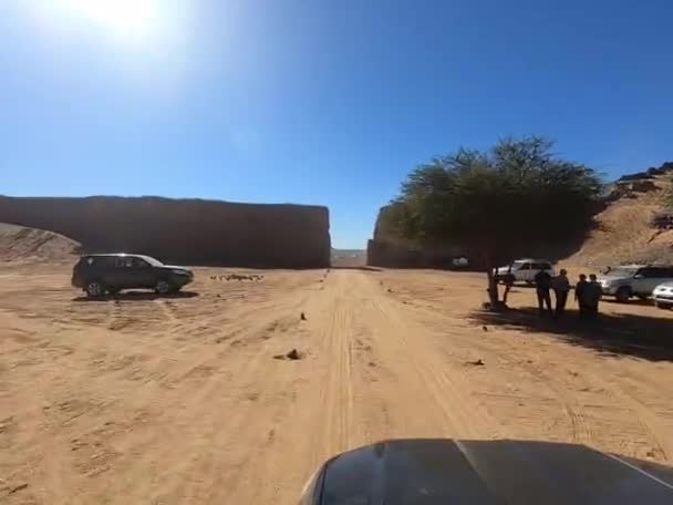 Sahara Çölünün Hareketli Manzarası — Stok video
