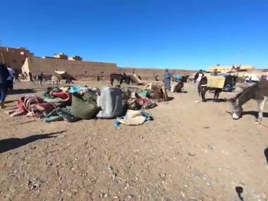 Sahara çölünün hareketli manzarası
