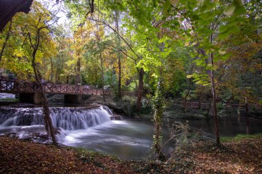 Sonbahar mevsiminde şelaleli bir nehir.