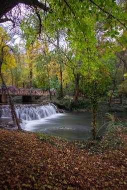 Sonbahar mevsiminde şelaleli bir nehir.