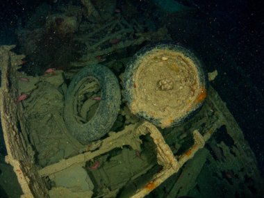 Thistlegorm gemisi 2. Dünya Savaşı 'nda Kızıl Deniz' de battı.