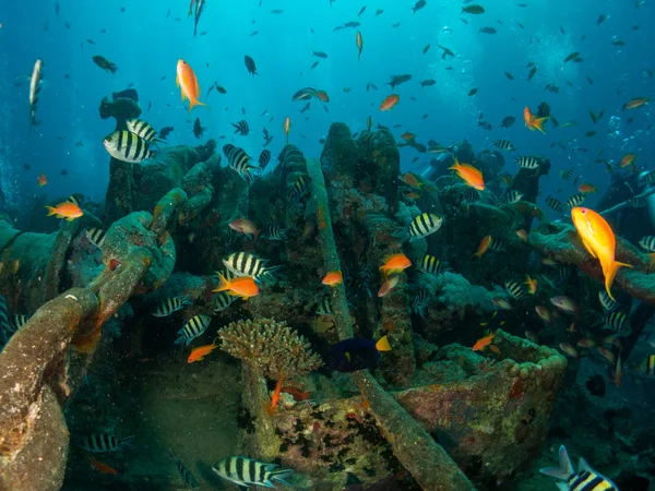 Navio Thistlegorm Afundado Segunda Guerra Mundial Mar Vermelho — Fotografia de Stock