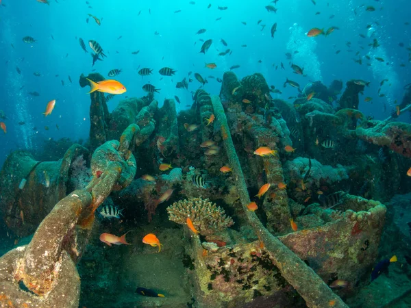 Navio Thistlegorm Afundado Segunda Guerra Mundial Mar Vermelho — Fotografia de Stock