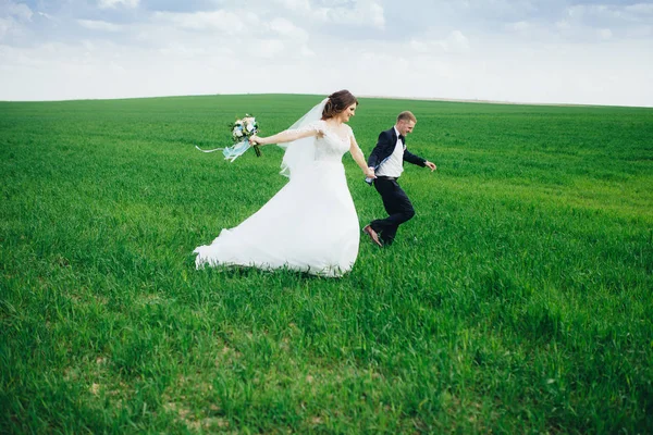 Bella coppia di nozze nel campo — Foto Stock