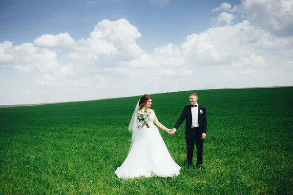 Mooie bruidspaar in het veld — Stockfoto