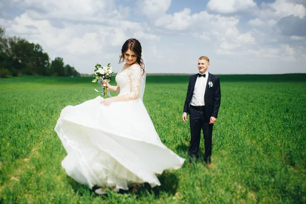 フィールドを歩いて幸せな結婚式のカップル — ストック写真