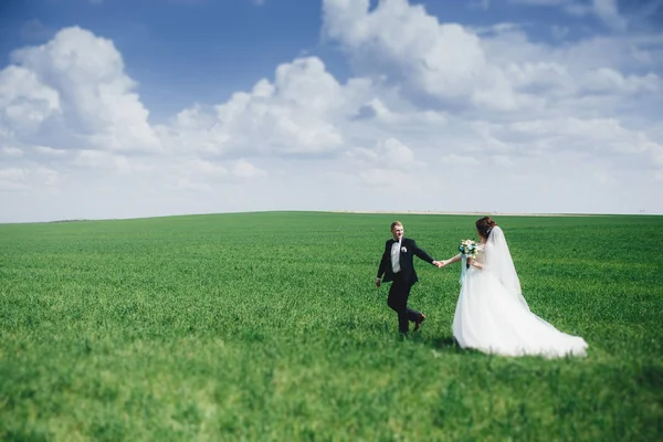 Mooie bruidspaar in het veld — Stockfoto