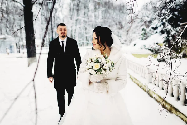 Retrato de una pareja de boda increíble —  Fotos de Stock