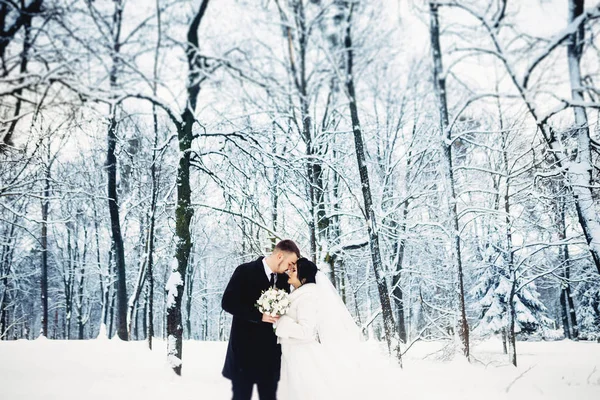 Retrato de una increíble pareja de novios. Gran paisaje . —  Fotos de Stock