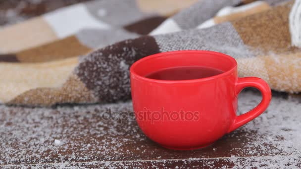 Горячий красный стакан горячего кофе или чая, стоящих на открытом воздухе в снежное зимнее утро — стоковое видео