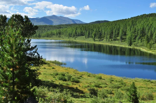 Espelho de água do lago Kideluy, Altai — Fotografia de Stock