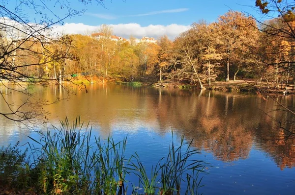 Platonov'ın gölet Altın Sonbahar