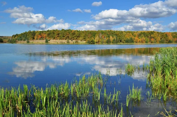 Sergeevskiy gölet altın sonbahar başında