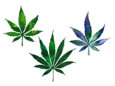 Esrar ya da marihuana yaprakları seti, suluboya sanat