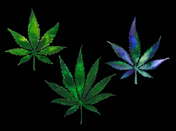 Conjunto de folhas de cannabis ou maconha, arte aquarela — Fotografia de Stock