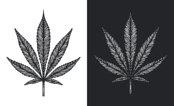 Cannabis of marihuana laat vectorschets achter — Stockvector