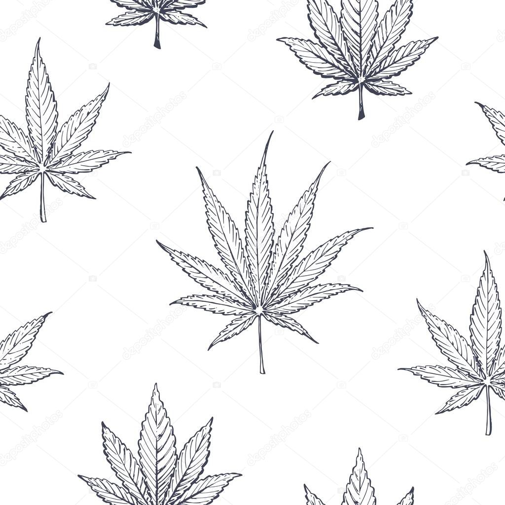 Cannabis and Marijuana leaves, seamless pattern