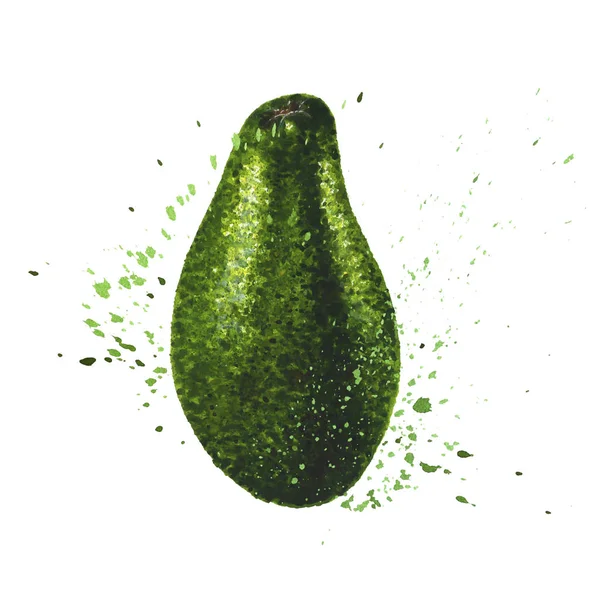 Целый зелёный авокадо ручной работы акварелью — стоковое фото
