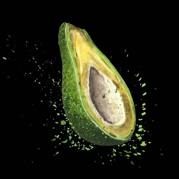 Cut in half avocado. Hand drawn watercolor art — Stock Photo, Image