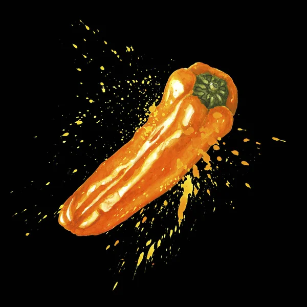 Mini pimienta naranja con salpicaduras. Arte de acuarela — Foto de Stock