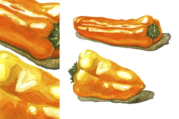 Mini poivrons jaunes et orange. Illustration couleur — Photo