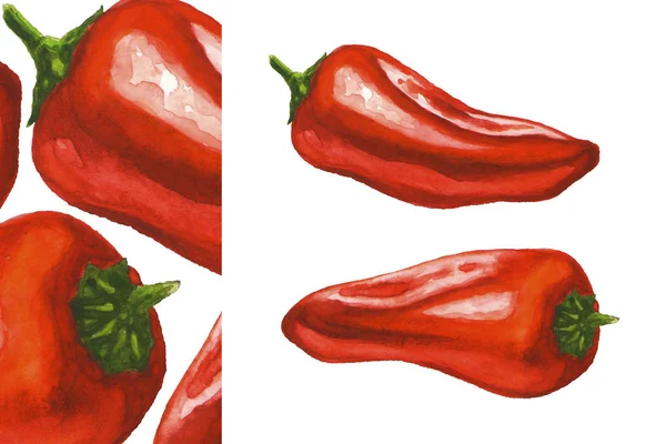 Mini pimentas vermelhas. Ilustração aquarela — Fotografia de Stock