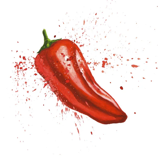 Červený chilli pepř s cákanci izolované na bílém — Stock fotografie