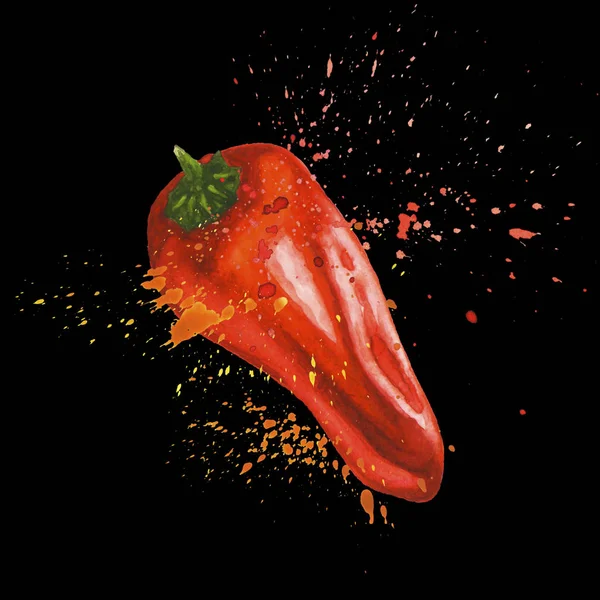 Red mini pepper with splashes isolated on black — Stock Photo, Image