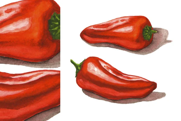 Red mini chili peppers. Watercolor illustration — Stock Photo, Image