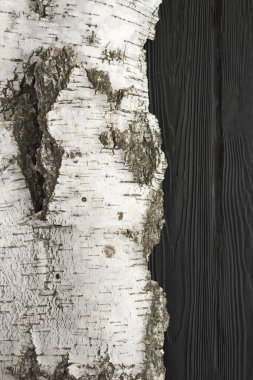Doğal ahşap arka plan. Beyaz huş ağacı kabuğu siyah ahşap arka planda. Konum dikey. Boşluğu kopyala.