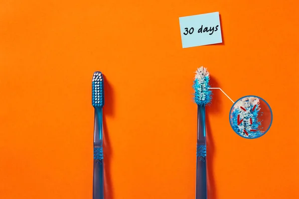 两个蓝色的牙刷在橙色的彩色背景上 使用牙刷和新的牙刷概念 教育概念 旧牙刷上的细菌图像 — 图库照片
