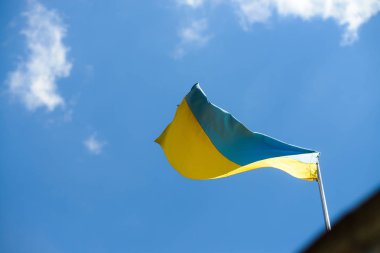 Ukrayna bayrağı şişesi üzerinde çırpınan