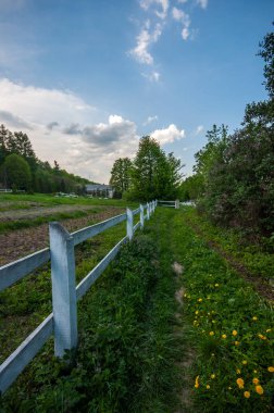 Ormanın yakınındaki tarlanın etrafındaki çit