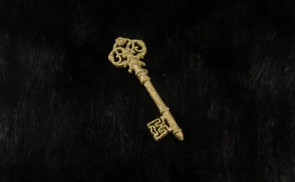 Παλιό Χρυσό Κλειδί Μαύρο Γούνα Φόντο — Φωτογραφία Αρχείου