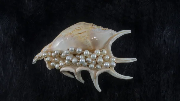 Gran Concha Mar Con Collar Perlas Blancas Sobre Fondo Piel — Foto de Stock
