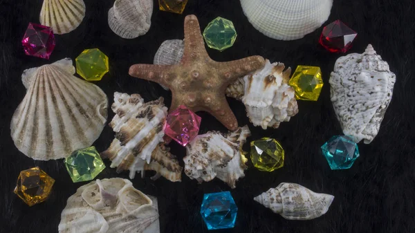 Coquillages Étoiles Mer Avec Des Pierres Précieuses Plastique Coloré Sur — Photo