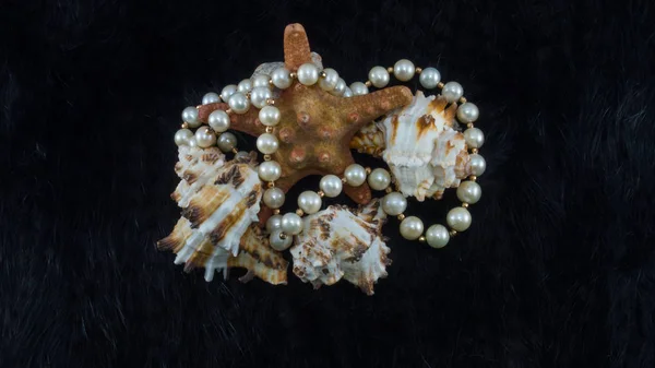 Seashells Hvězdice Bílou Perlou Náhrdelník Kožešinové Pozadí — Stock fotografie