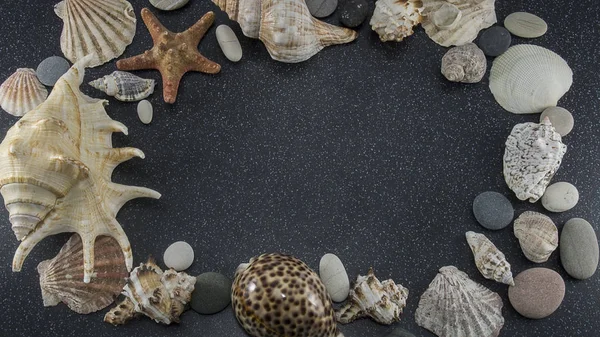 Frame Van Schelpen Zeestenen Zeesterren Zwart Graniet Met Witte Vlekken — Stockfoto