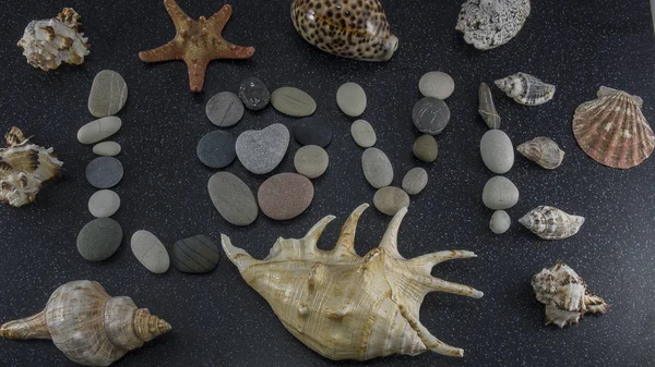 Seashells Hvězdice Slovo Láska Mořského Hladkého Kamene Černé Žule Bílými — Stock fotografie