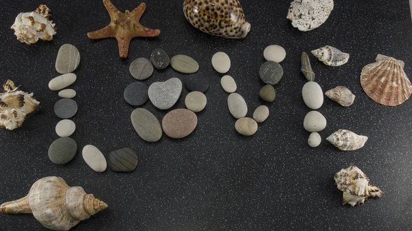 Seashells Hvězdice Slovo Láska Mořského Hladkého Kamene Černé Žule Bílými — Stock fotografie