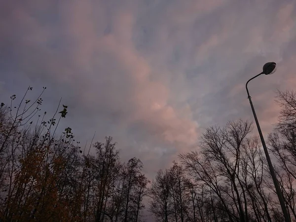 Cielo Drammatico Nuvole Rosa — Foto Stock