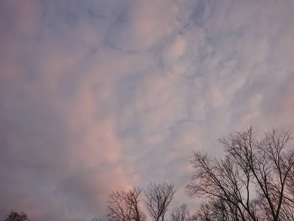 Dramatisk Himmel Och Rosa Moln — Stockfoto