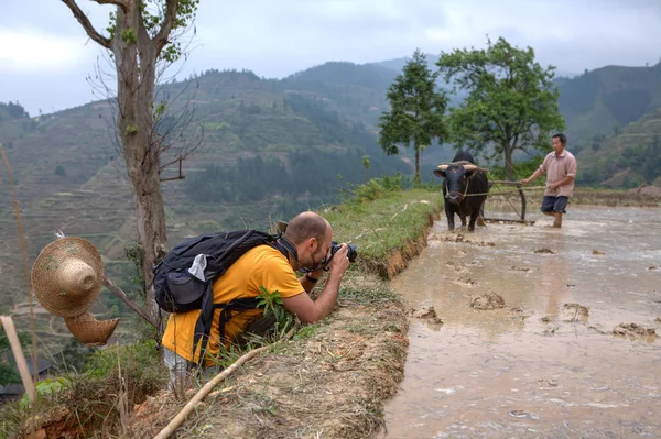 Viajero fotografiado granjero chino con búfalo en el campo de arroz . — Foto de Stock