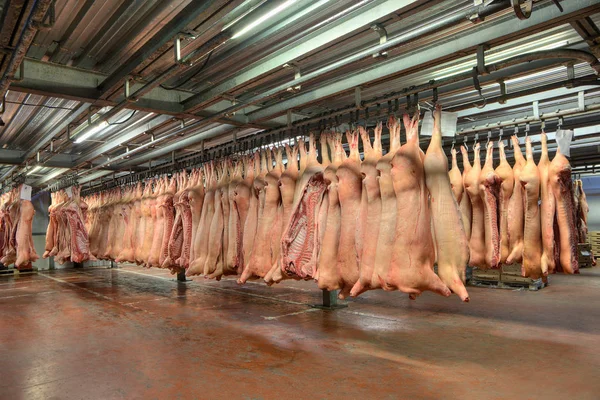 Mrożone tusze wieprzowe wiszące na haki w fabryce mięsa — Zdjęcie stockowe
